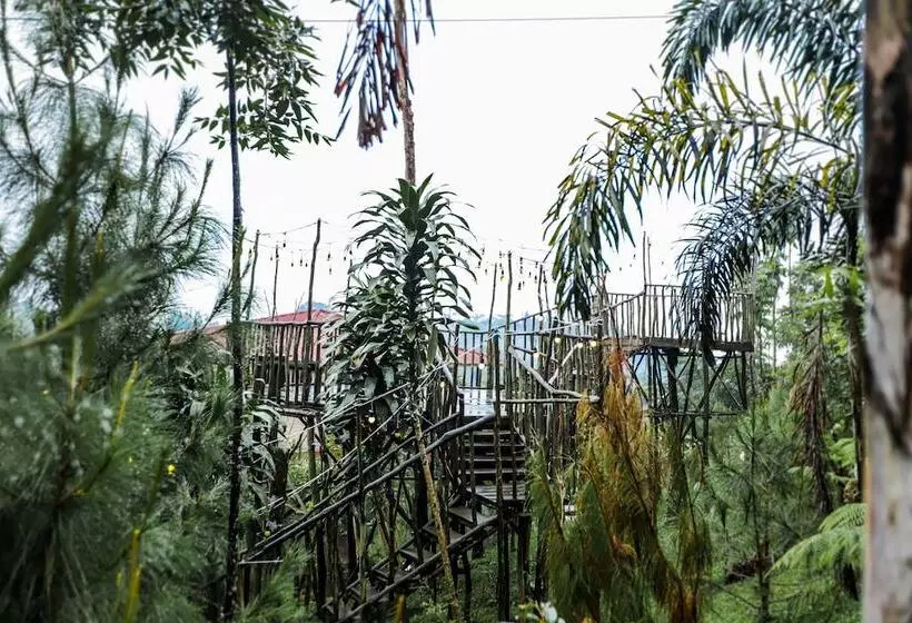 Hotel Miracle Signature Hills