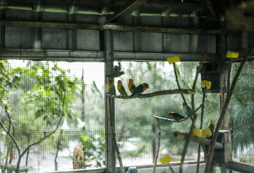 Hotell Miracle Signature Hills