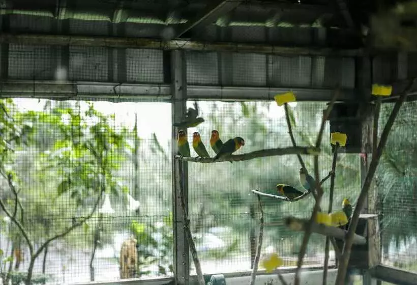 Hotel Miracle Signature Hills