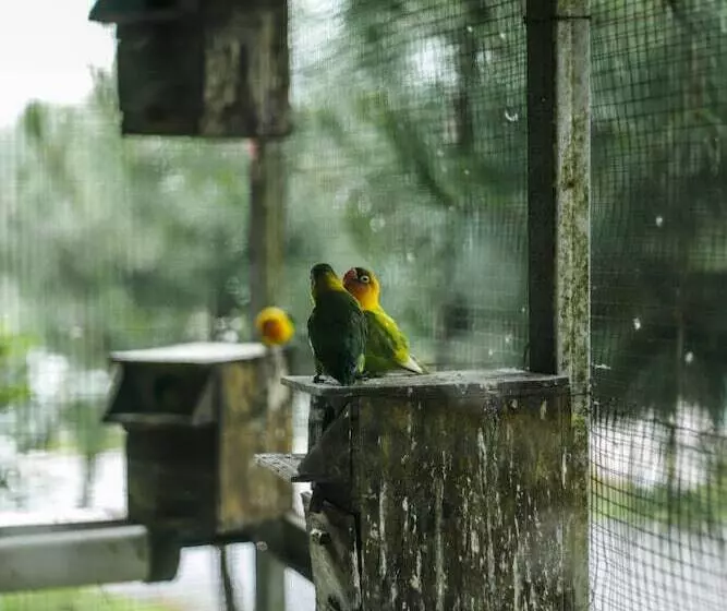 Hotel Miracle Signature Hills