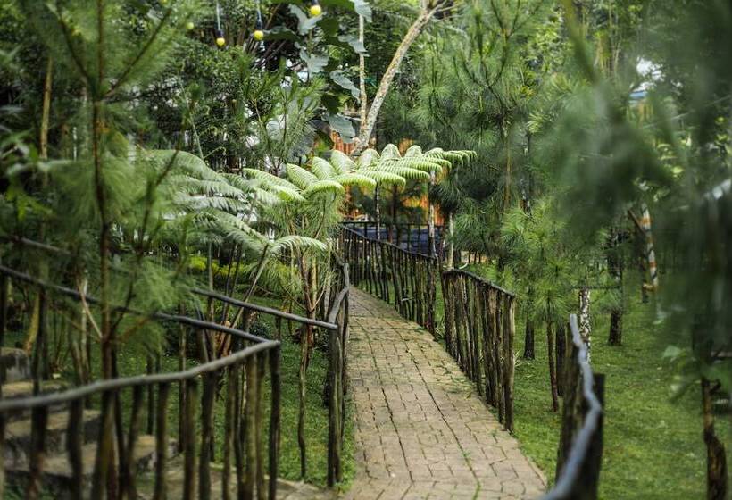 Hotell Miracle Signature Hills