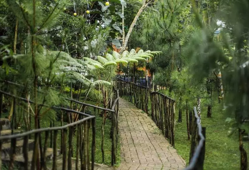 Hotel Miracle Signature Hills