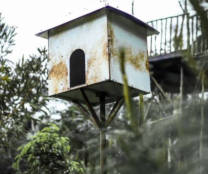 Hotell Miracle Signature Hills