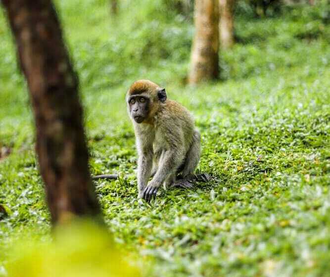 Hotell Miracle Signature Hills