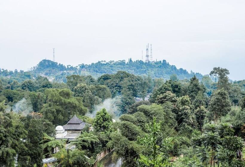 Hotell Miracle Signature Hills