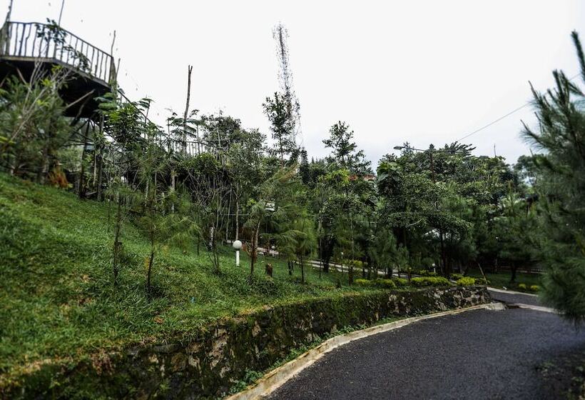 Hotell Miracle Signature Hills