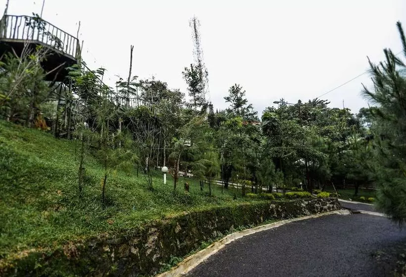 Hotel Miracle Signature Hills