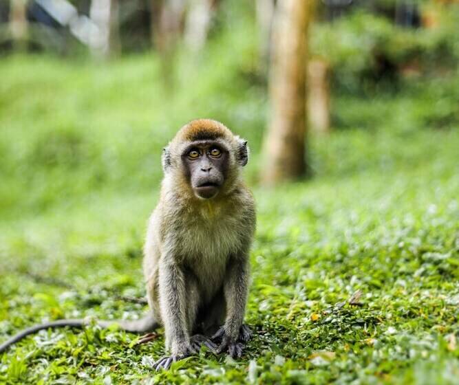 Hotell Miracle Signature Hills