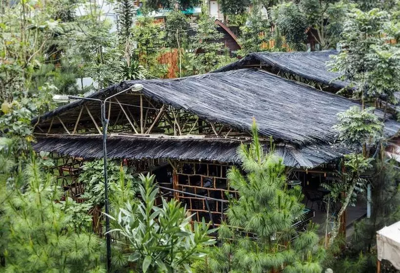 Hotel Miracle Signature Hills