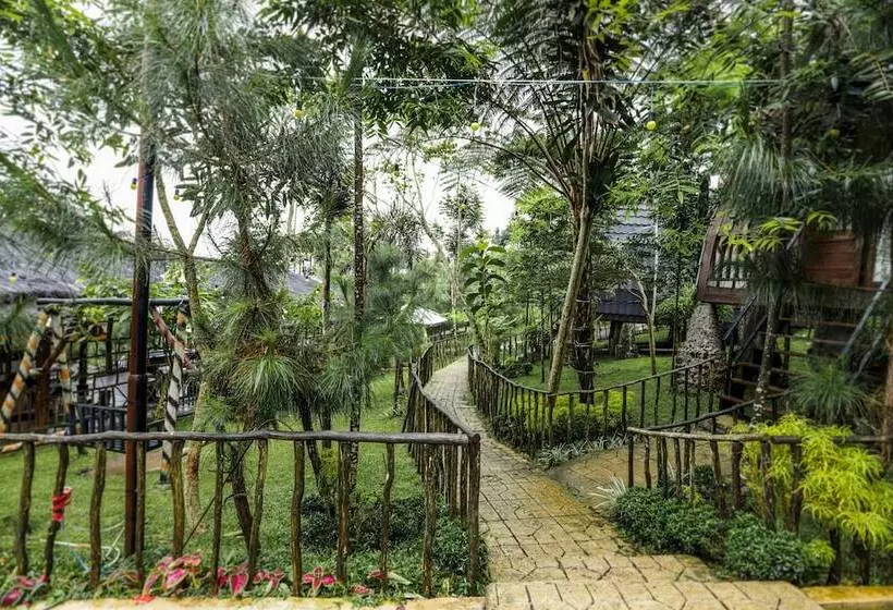 Hotel Miracle Signature Hills