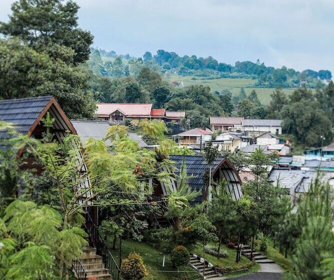 Hotell Miracle Signature Hills