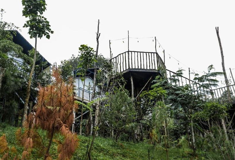 Hotell Miracle Signature Hills