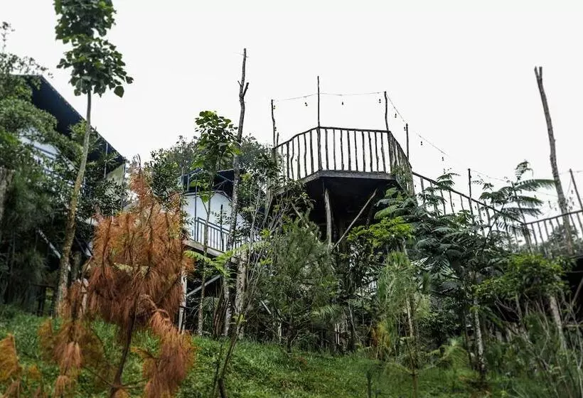 Hotel Miracle Signature Hills