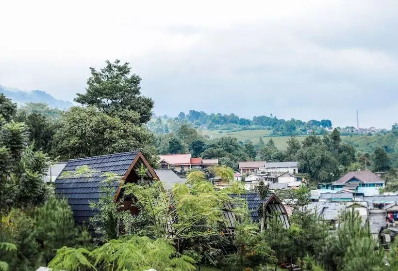 Hotel Miracle Signature Hills