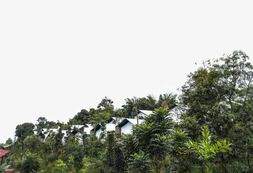 Hotel Miracle Signature Hills