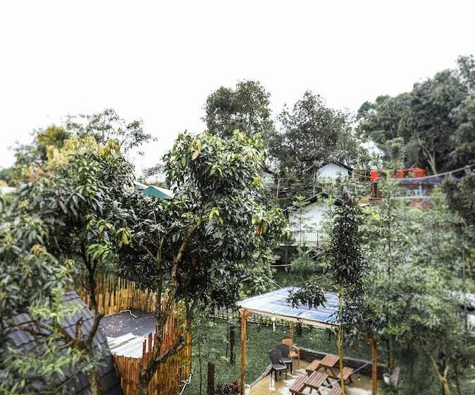 Hotell Miracle Signature Hills