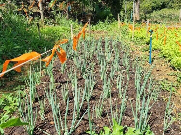 منتجع Sertão Veredas Hotel Fazenda