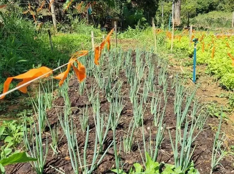 Lomakeskus Sertão Veredas Hotel Fazenda
