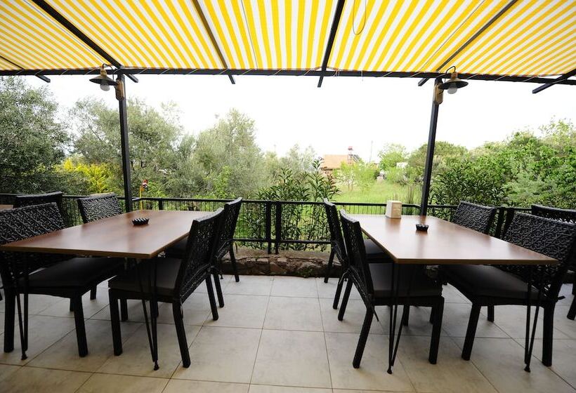 Отель Assos No9