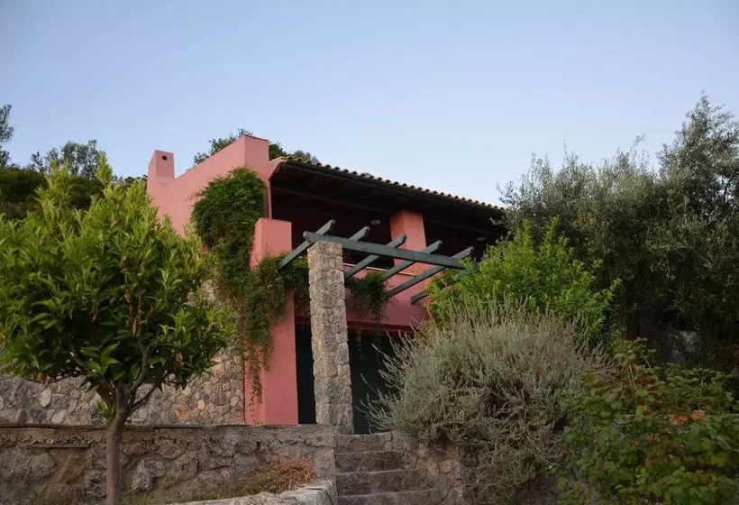 Salida Del Sol Santorini