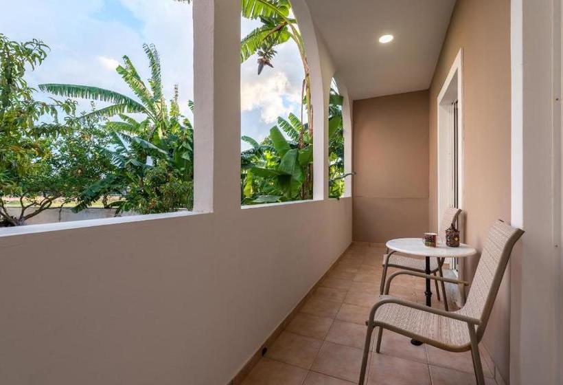 هتل Costas Apartments