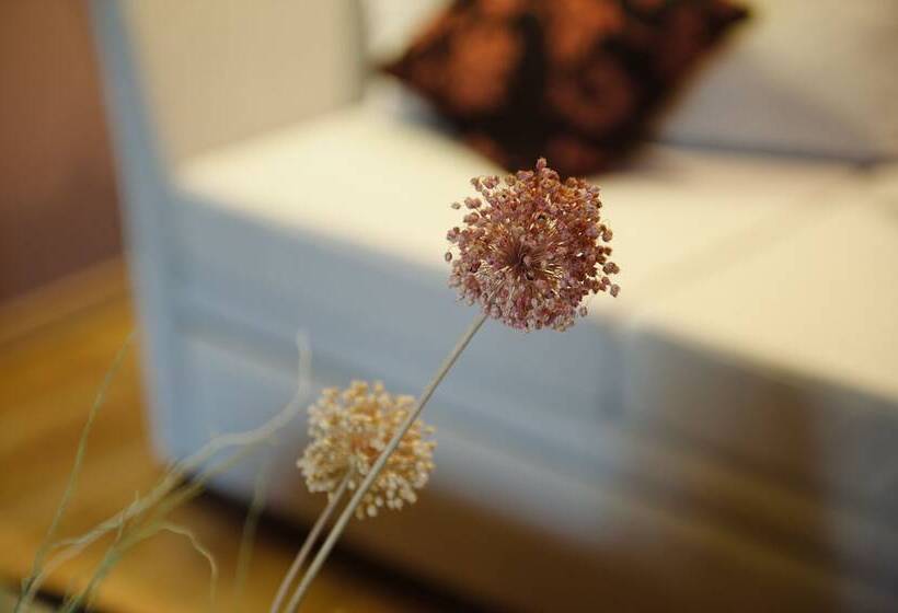 ホテル Levidi Suites