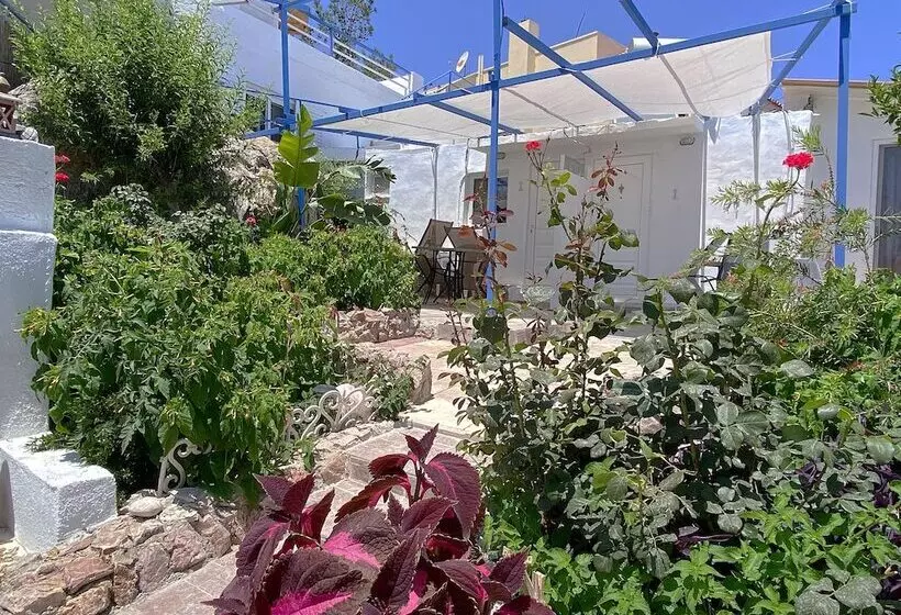 Paradis Studios