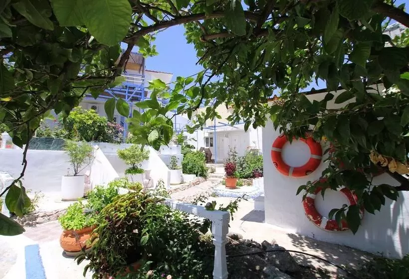 Paradis Studios