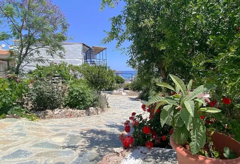 Paradis Studios