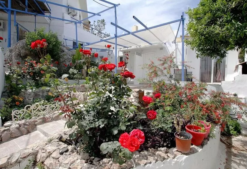 Paradis Studios
