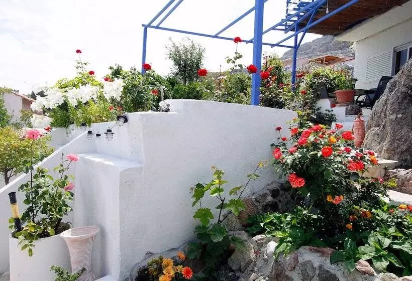Paradis Studios