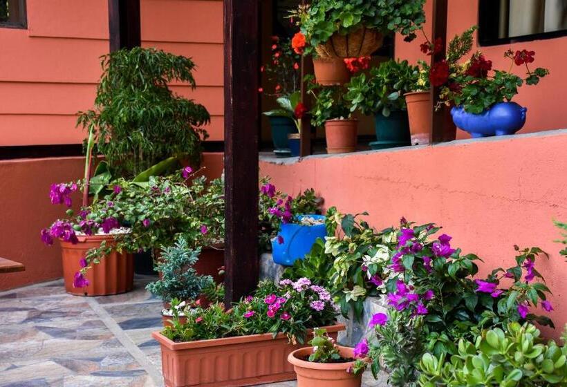 Hotel Cabinas Eddy B&b