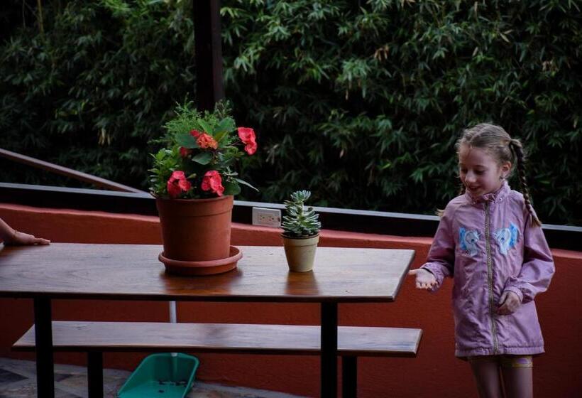 Hotel Cabinas Eddy B&b