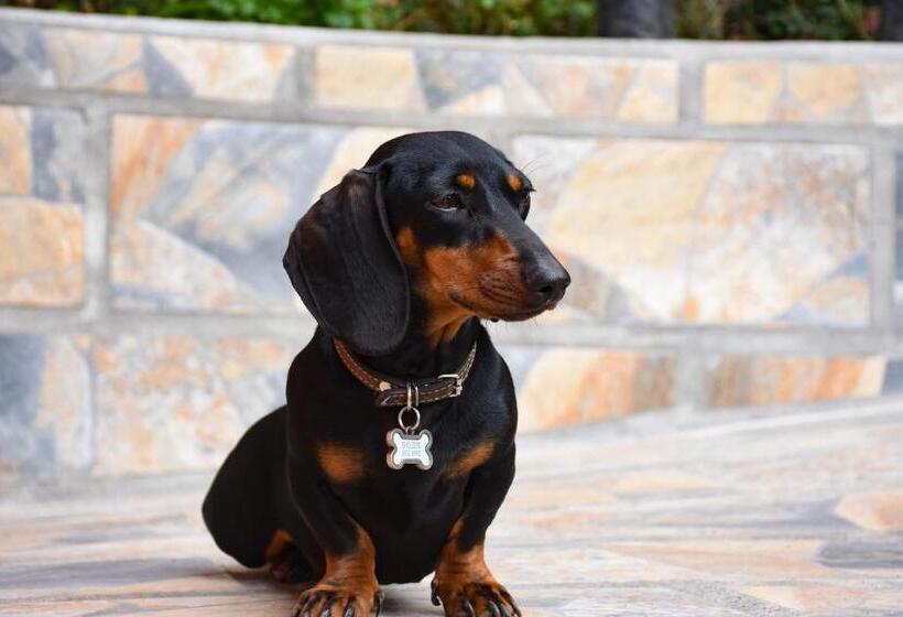 Hotel Cabinas Eddy B&b