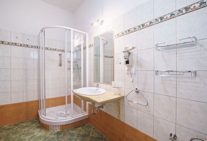 فندق Francis Spa