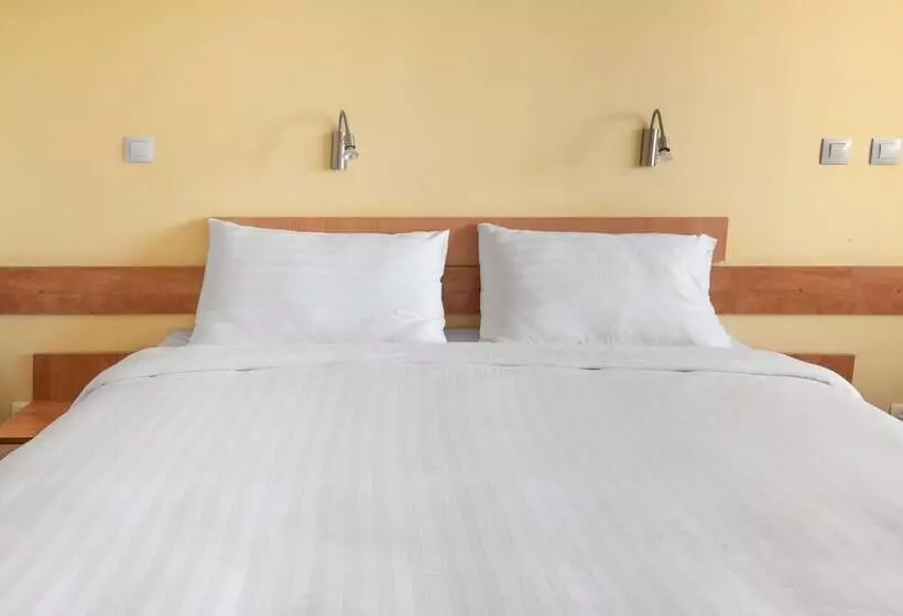 ホテル Ibis Styles Relax Roznov Pod Radhostem