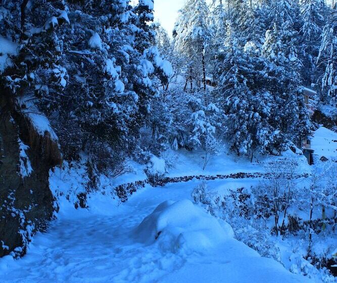 فندق Kufri Pacific Resort