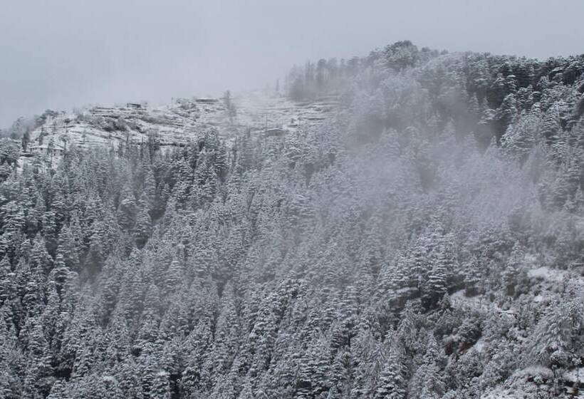 فندق Kufri Pacific Resort