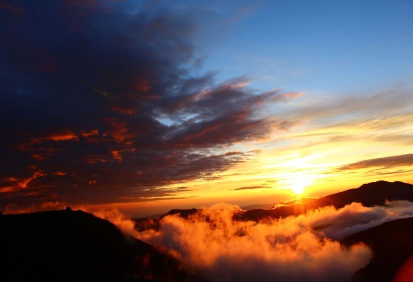 فندق Kufri Pacific Resort