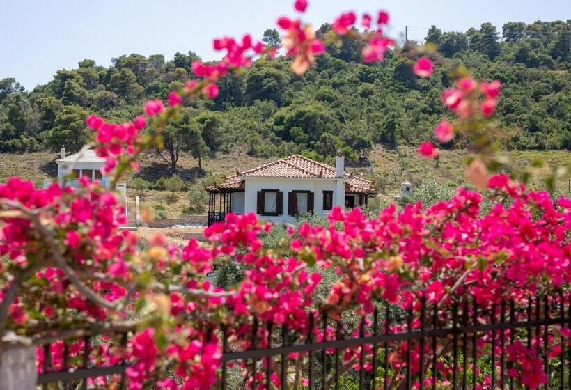 Hotel Mando Beachfront