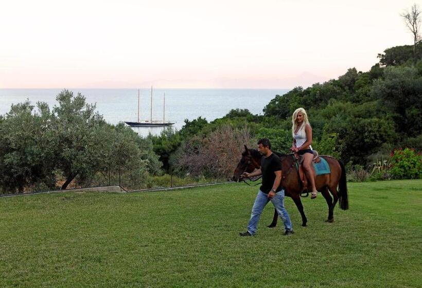 Hotel Mando Beachfront