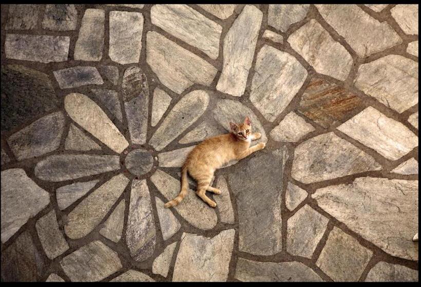 Hotel Mando Beachfront