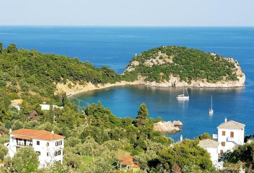 Hotel Mando Beachfront