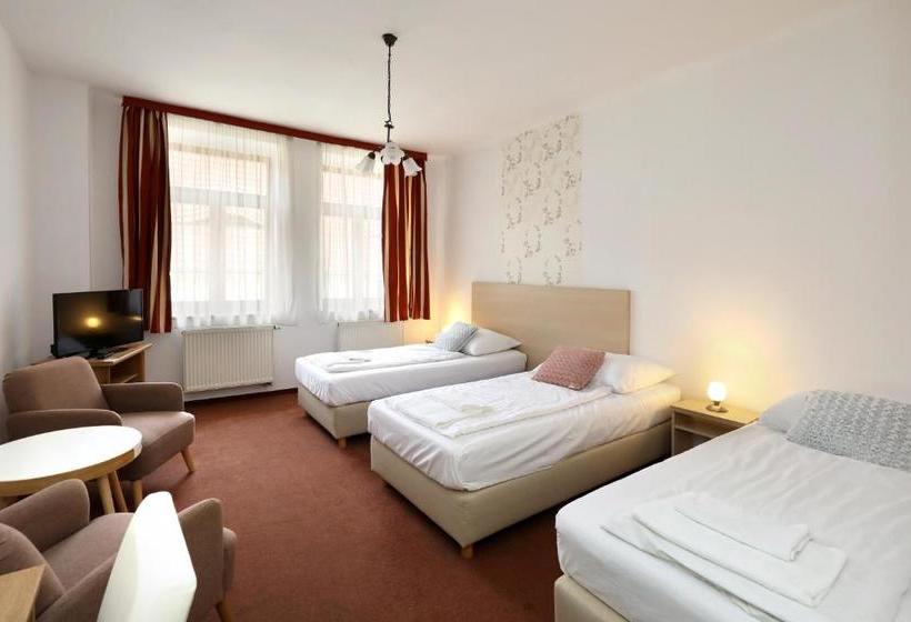 Hotel Pension U Tří Sedláků