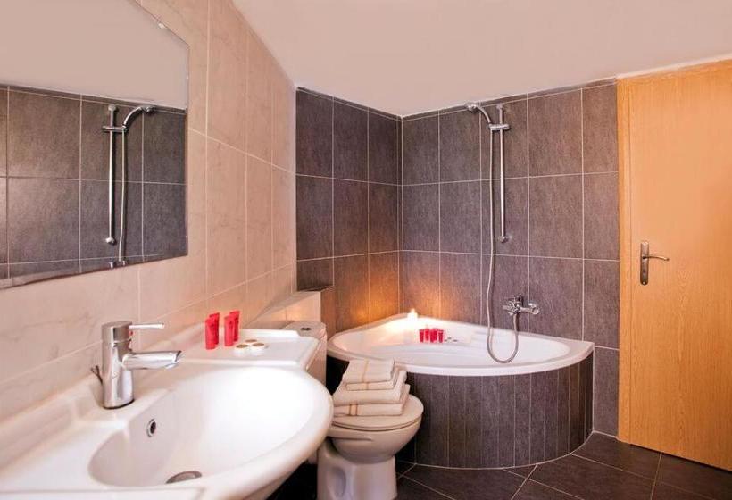 בית מלון כפרי Polydor