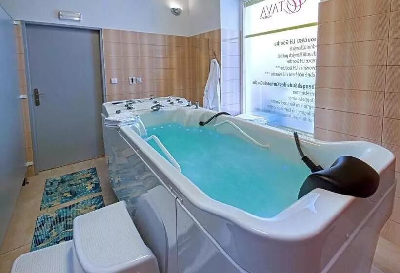 Spa Hotel Goethe