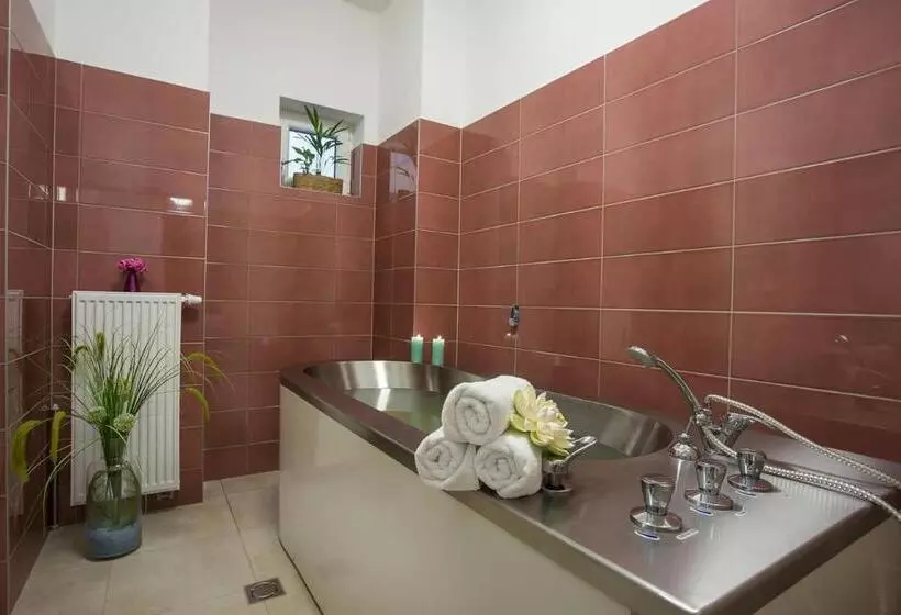 Spa Hotel Goethe