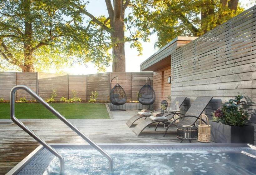 Отель Spa Resort Tree Of Life