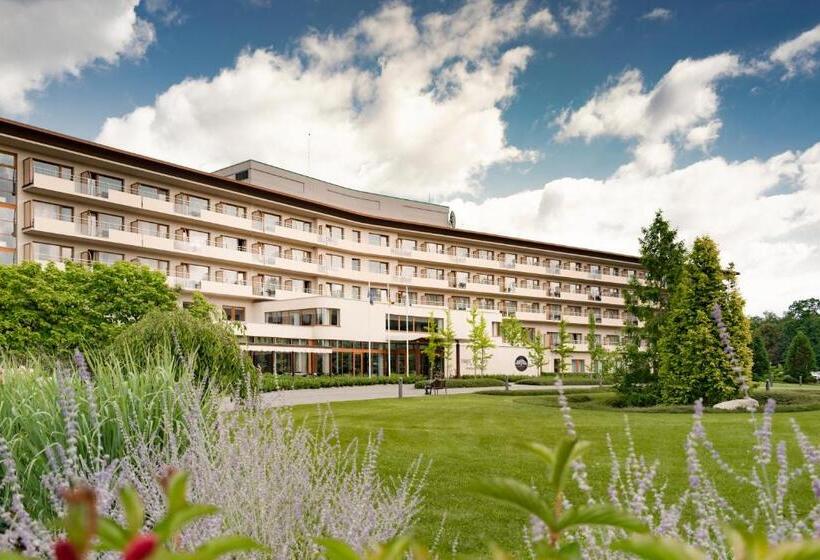 Отель Spa Resort Tree Of Life