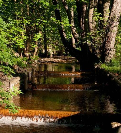 فندق Penzion Speedway